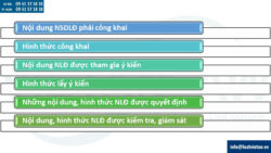Tư vấn xây dựng quy chế dân chủ cơ sở tại nơi làm việc