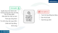 Tư vấn pháp luật việc làm, bồi thường, lợi ích