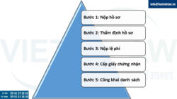 Thủ tục Đăng ký cấp lại Giấy chứng nhận đăng ký hành nghề kiểm toán