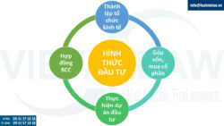 Tư vấn pháp luật trong lĩnh vực đầu tư du lịch, giải trí