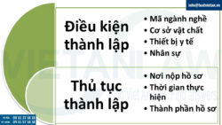 Tư vấn pháp luật trong lĩnh vực chăm sóc sức khỏe