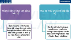 So sánh chấm dứt hiệu lực văn bằng bảo hộ và hủy bỏ hiệu lực văn bằng bảo hộ nhãn hiệu