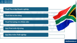 Thủ tục sau thành lập công ty tại Nam Phi
