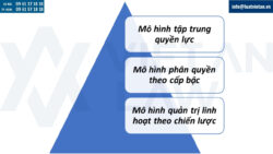 Tư vấn phân bổ quyền quản lý, điều hành hoặc quản trị công ty