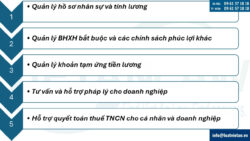 Dịch vụ tính lương cho doanh nghiệp