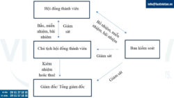 Mô hình tổ chức của công ty TNHH hai thành viên