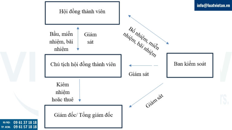Mô hình tổ chức của công ty TNHH hai thành viên