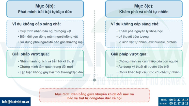 Phân tích chi tiết Mục 3 của Đạo luật Sáng chế