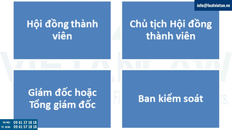 cơ cấu tổ chức công ty TNHH 2 thành viên