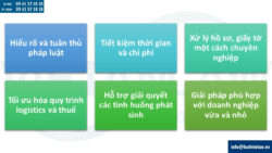 Dịch vụ tư vấn các thủ tục pháp lý liên quan đến xuất nhập khẩu