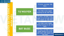 Ủy quyền đại diện khi đăng ký nhãn hiệu