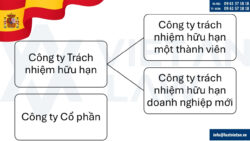 Các loại hình công ty có thể thành lập tại Tây Ban Nha