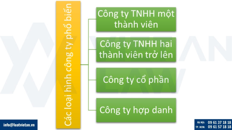 Các loại hình công ty phổ biến tại Việt Nam