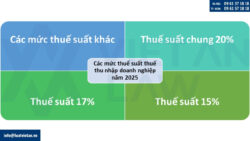 Các mức thuế suất thuế thu nhập doanh nghiệp năm 2025