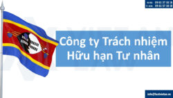 Các loại hình công ty có thể thành lập tại Eswatini