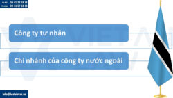Các loại hình công ty có thể thành lập tại Botswana