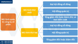 Tư vấn mô hình quản trị cho công ty cổ phần