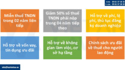 Các chính sách thuế ưu đãi áp dụng cho doanh nghiệp năm 2025