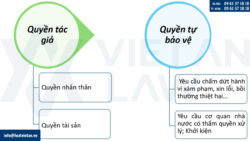 Giả định về quyền tác giả
