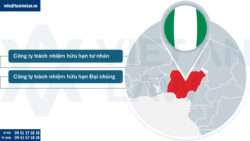 Các loại hình công ty có thể thành lập tại Nigeria