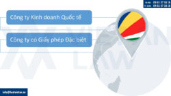 Các loại hình công ty có thể thành lập tại Seychelles