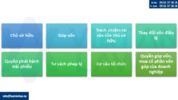So sánh công ty TNHH hay doanh nghiệp tư nhân cho startup