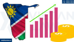 Các loại hình công ty có thể thành lập tại Namibia