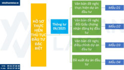 Hồ sơ thực hiện thủ tục đầu tư đặc biệt theo Thông tư 06/2025