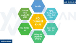 Mẫu Danh sách kê khai chủ sở hữu hưởng lợi của doanh nghiệp
