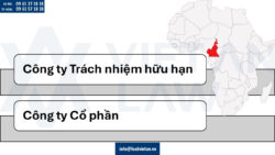 Các loại hình công ty có thể thành lập tại Cameroon