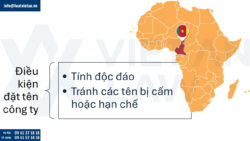 Thành lập công ty tại Cameroon