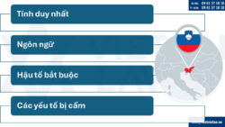 Thành lập công ty tại Slovenia