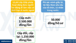 Giảm 50% lệ phí cấp giấy phép xuất khẩu lao động từ 01.07.2025