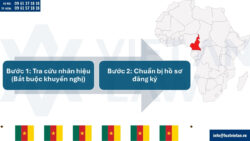 Gia hạn đăng ký nhãn hiệu tại Cameroon