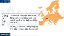 Các loại hình công ty có thể thành lập tại Monaco
