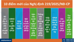 Nghị định 219/2025/NĐ-CP quy định về người lao động nước ngoài làm việc tại Việt Nam