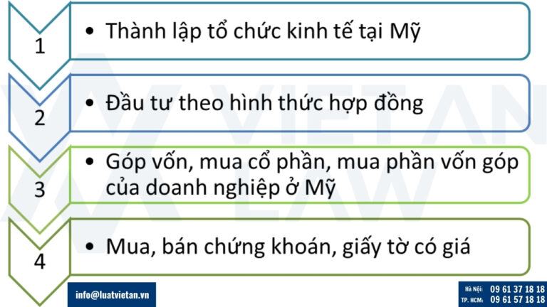 Hình thức đầu tư từ Việt Nam sang Mỹ