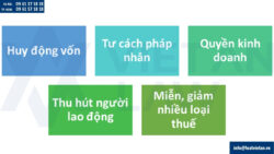 Hộ Kinh Doanh với Công Ty Cổ Phần: Khi nào nên chuyển đổi?