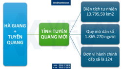 Thành lập công ty tại tỉnh Tuyên Quang mới sáp nhập