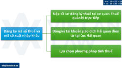 Quy định sau thành lập công ty xuất nhập khẩu tại Việt Nam