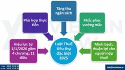 Luật Thuế tiêu thụ đặc biệt 2025 số 66/2025/QH15