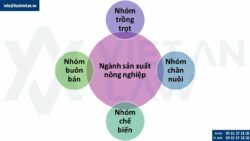 Mã ngành nghề thành lập công ty sản xuất nông nghiệp