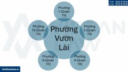 Điều chỉnh Giấy chứng nhận đầu tư tại Phường Vườn Lài, Tp. Hồ Chí Minh