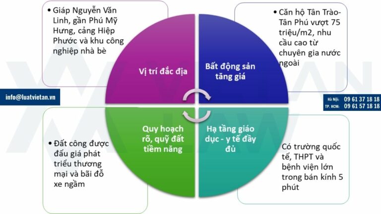 Tiềm năng kinh tế và cơ hội đầu tư tại Phường Tân Mỹ