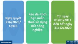 Kéo dài thời hạn miễn thuế sử dụng đất nông nghiệp theo Nghị định 292/2025/NĐ-CP