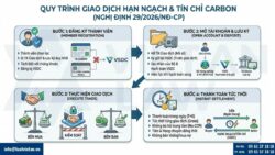 Nghị định 29/2026/NĐ-CP: Quy trình mua bán trên Sàn giao dịch tín chỉ Carbon Việt Nam