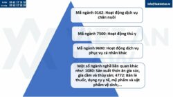 Mã ngành nghề thành lập công ty dịch vụ chăm sóc chó mèo