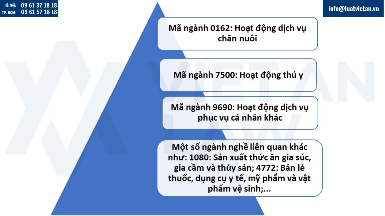 Mã ngành nghề thành lập công ty dịch vụ chăm sóc chó mèo
