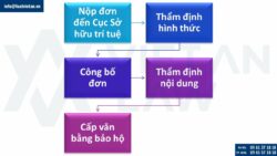 Đăng ký nhãn hiệu sản phẩm pháo hoa