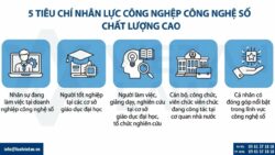 Nghị định 353/2025/NĐ-CP: Hướng dẫn chi tiết Luật Công nghiệp công nghệ số